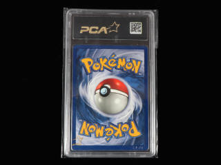 Lot 32 - POKEMON COMPANY (USA) (1)