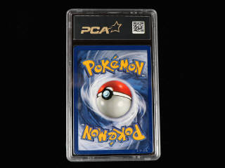 Lot 41 - POKEMON COMPANY (USA) (1)