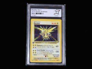 Lot 197 - POKEMON COMPANY (USA) (1)