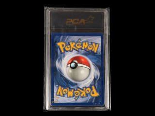 Lot 197 - POKEMON COMPANY (USA) (1)