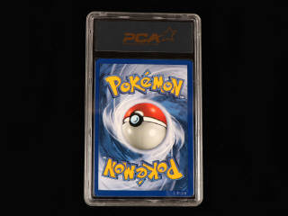 Lot 49 - POKEMON COMPANY (USA) (1)