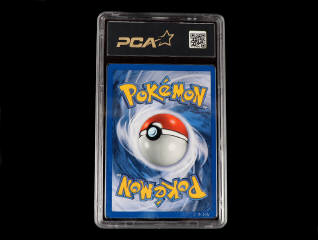 Lot 73 - POKEMON COMPANY (USA) (1)