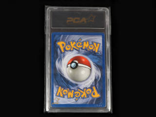 Lot 90 - POKEMON COMPANY (USA) (1)