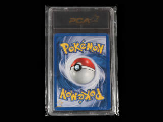 Lot 82 - POKEMON COMPANY (USA) (1)