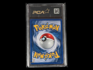 Lot 86 - POKEMON COMPANY (USA) (1)
