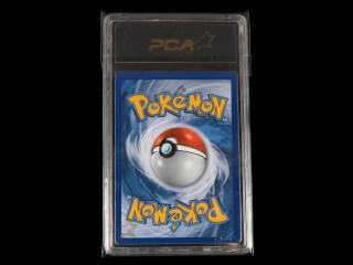 Lot 87 - POKEMON COMPANY (USA) (1)