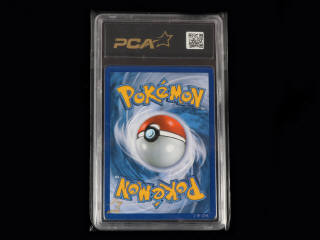 Lot 91 - POKEMON COMPANY (USA) (1)
