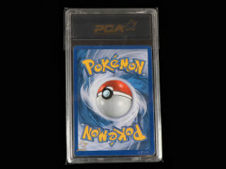 Lot 169 - POKEMON COMPANY (USA) (1)