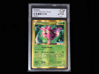Lot 96 - POKEMON COMPANY (USA) (1)