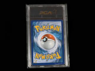 Lot 100 - POKEMON COMPANY (USA) (1)
