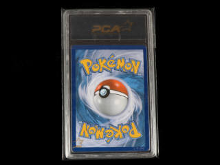 Lot 101 - POKEMON COMPANY (USA) (1)