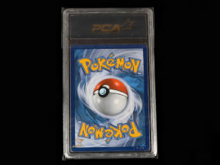 Lot 47 - POKEMON COMPANY (USA) (1)