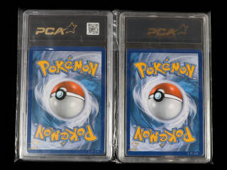Lot 11 - POKEMON COMPANY (USA) (2)