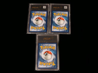 Lot 114 - POKEMON COMPANY (USA) (3)