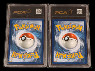 Lot 48 - POKEMON COMPANY (USA) (2)