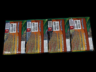 Lot 23 - POKEMON COMPANY (USA) (4)