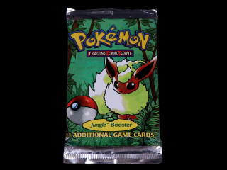 Lot 18 - POKEMON COMPANY (USA) (1)