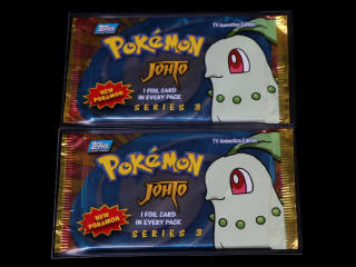 Lot 21 - POKEMON COMPANY (USA) (2)