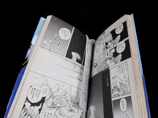 Lot 205 - POKEMON COMPANY (JAP) (1)