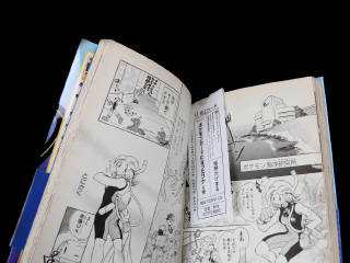 Lot 205 - POKEMON COMPANY (JAP) (1)