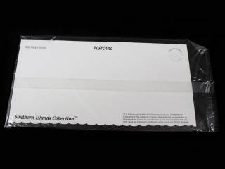 Lot 194 - POKEMON COMPANY (USA) (18)