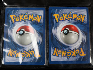 Lot 130 - POKEMON COMPANY (USA) (132)
