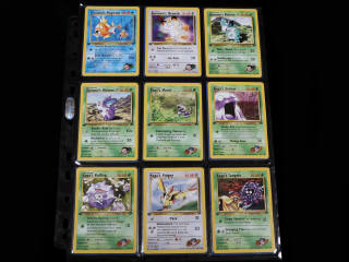 Lot 193 - POKEMON COMPANY (USA) (132)
