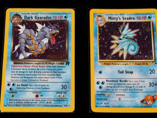 Lot 249 - POKEMON COMPANY (USA) (4)