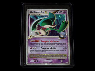 Lot 238 - POKEMON COMPANY (USA) (1)