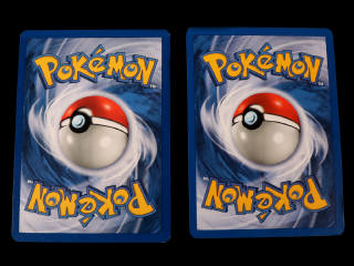 Lot 253 - POKEMON COMPANY (USA) (2)