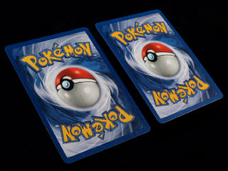 Lot 253 - POKEMON COMPANY (USA) (2)