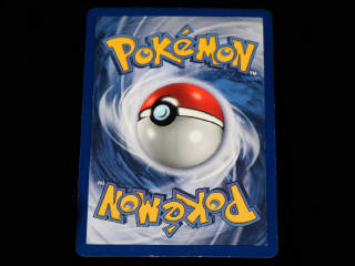 Lot 252 - POKEMON COMPANY (USA) (1)