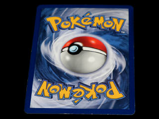 Lot 252 - POKEMON COMPANY (USA) (1)