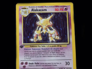 Lot 252 - POKEMON COMPANY (USA) (1)