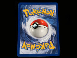 Lot 216 - POKEMON COMPANY (USA) (1)