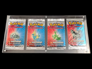 Lot 67 - POKEMON COMPANY (USA) (15)