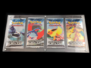 Lot 67 - POKEMON COMPANY (USA) (15)