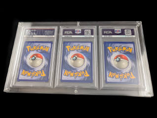 Lot 245 - POKEMON COMPANY (USA) (3)