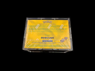 Lot 217 - POKEMON COMPANY (USA) (1)