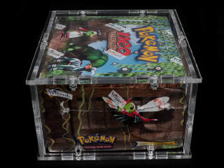 Lot 240 - POKEMON COMPANY (USA) (1)