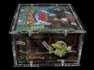 Lot 240 - POKEMON COMPANY (USA) (1)