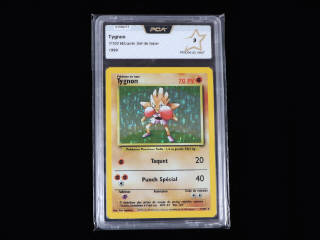 Lot 23 - POKEMON COMPANY (FRANCE) (1)