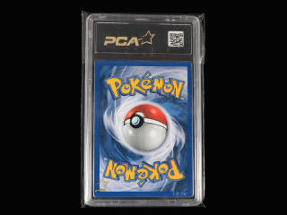 Lot 19 - POKEMON COMPANY (FRANCE) (1)