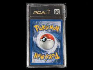 Lot 13 - POKEMON COMPANY (FRANCE) (1)