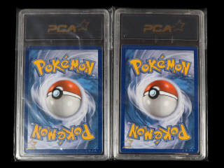 Lot 66 - POKEMON COMPANY (FRANCE) (2)