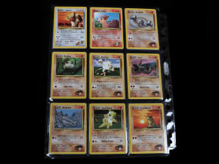 Lot 51 - POKEMON COMPANY (USA) (132)