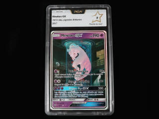 Lot 64 - POKEMON COMPANY (FRANCE) (1)