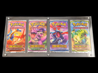 Lot 46 - POKEMON COMPANY (FRANCE) (15)