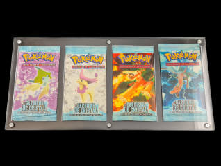 Lot 46 - POKEMON COMPANY (FRANCE) (15)