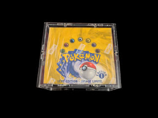 Lot 40 - POKEMON COMPANY (FRANCE) (1)